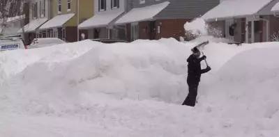 Midwestern Ontario Digs Out After 'Never-Ending' New Year's Snowstorm