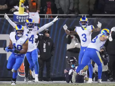 NFL Playoffs Shatter Viewership Records, Highlighting League's Unrivaled Dominance
