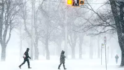 Nor'easter Forces Widespread Closures and Delays Across Maritime Provinces