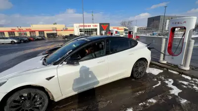 Ottawa Drivers Show Openness to Chinese-Made Electric Vehicles as Market Expands
