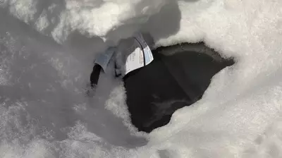 Ottawa Issues $1.6M in Fines During Winter Parking Bans