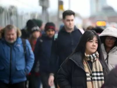 Ottawa's Private Job Market Faces Challenges Amid Public Sector Cuts