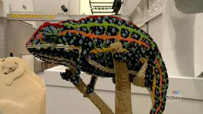 Over 1 Million Lego Bricks Build Animal Kingdom at Halifax Discovery Centre