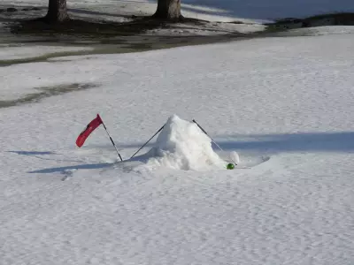 Record-Breaking Warmth Hits Alberta, Smashing January Temperature Records