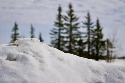 Saskatchewan Communities Shatter Cold Records During Recent Arctic Blast