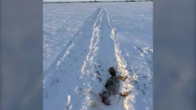 Saskatchewan Conservation Officers Seek Tips After Snowmobiles Kill Four Coyotes