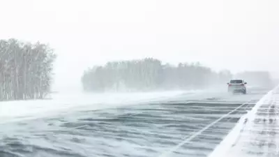 School Buses Cancelled, Roads Closed as Blowing Snow Hits Wellington and Dufferin