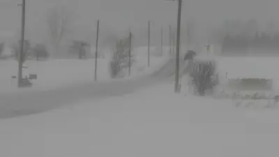 Snowfall Warning Issued for Waterloo Region and Surrounding Areas