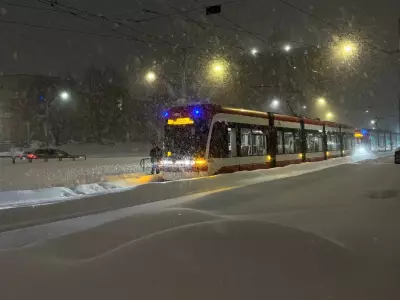 Toronto Grapples with Record-Breaking Snowfall: Transit Disruptions and Cleanup Efforts