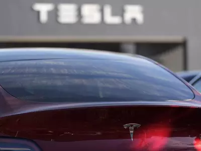 U.S. Lawmaker Proposes Bill Mandating Manual Car Door Releases After Tesla Incidents