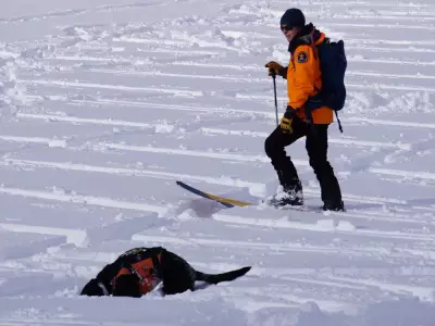 Winter Safety Day Returns to Kananaskis: Learn Survival Skills & Avalanche Rescue