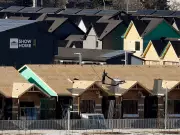 Alberta Sets Housing Start Record in 2025 While Rents Remain Below National Average