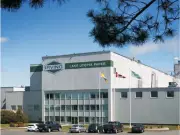 Arbitrator Orders Reinstatement of N.B. Mill Worker Fired Over Zionist-Nazi Comparison