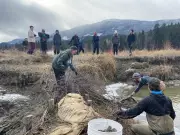 B.C. Must Accelerate Clean Energy Transition, Empower Communities: Expert