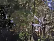 B.C. Woman to Explain Source of $1M for Salt Spring Home in Alleged Fraud Case