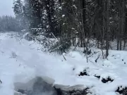 B.C.'s Zombie Wildfires Burn Through Winter, Trump Exits UN Climate Bodies