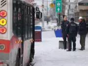 Calgary Police Hunt Suspect After Weapon Attack on Transit Bus in Northeast