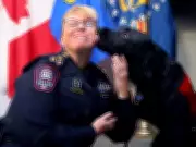 Calgary Police Introduce Sadie, First Operational Stress Intervention Dog