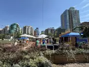 Calgary's Downtown Transformation: Balancing Vision, Safety, and Growth