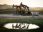 Canada's Oil & Gas Policy Blunder Costs Economy $25.6B Annually, Report Reveals