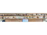 Canterra Minerals Hits High-Grade Gold in Newfoundland: 10.89 g/t Over 31.5 Metres