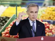 Carney Rejects Greedflation Narrative in Grocery Price Analysis