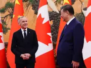 China Slashes Canola Tariffs to 15%, Alberta Farmers Breathe Sigh of Relief