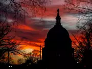 Colby Cosh: Trump's Constitutional Disregard Mirrors Public Apathy on Tariffs