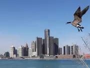 Dan Janisse's Top Windsor Star Feature Photos of 2025: A Visual Journey