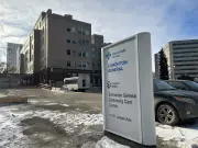 Edmonton Care Home Confronts Severe Mouse Infestation, Health Concerns Mount