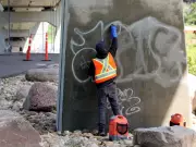 Edmonton's $2M Annual Battle: Vandalism Costs Soar, Graffiti Persists