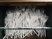 Federal Court Upholds Canada's Single-Use Plastics Ban in Landmark Ruling