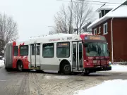 Grove Avenue in Old Ottawa South Deemed Too Narrow for Buses After Roadwork