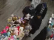 Hamilton Police Crack Down on Distraction Theft Ring Targeting Seniors