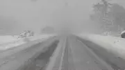Heavy Snow Squalls Batter Muskoka, Forcing Highway Closures and Creating Treacherous Conditions