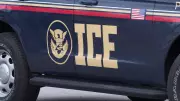 ICE Agents Dine, Then Arrest Workers at Minnesota Restaurant