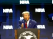 ICE Controversy Sparks Republican Rift Over Police Aggression and Gun Rights