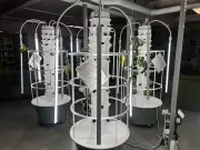 Laval High School Students Cultivate Urban Agriculture Skills in Pilot Project