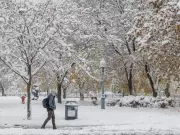 Massive Snowfall Shuts Down Toronto-Area Schools and Universities