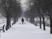 Montreal Braces for Polar Vortex: Wind Chills to Approach -40°C This Weekend