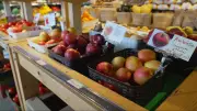 Non-Profit Grocery Store Combats Food Insecurity with Affordable Prices and Community Focus