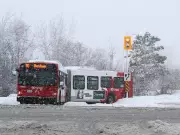 OC Transpo Issues Apology for Surge in Bus Cancellations, Blames Maintenance and Winter