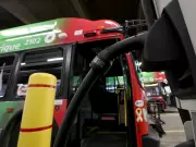 OC Transpo's Electric Bus Fleet Delayed, Ottawa Considers Diesel Options