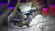 OPP Charges Driver with Impaired Operation After Pickup Truck Crashes into Tree Near North Bay