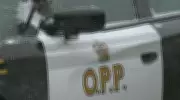 OPP Traffic Stop in Lakeshore Results in Multiple Criminal Charges