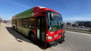 Ottawa's Electric Bus Rollout Stalls: Only 36 of 350 Target Buses on Road