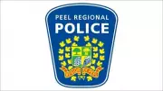 Pedestrian Critically Injured in Brampton Collision, Police Investigating