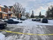 Police Investigate Overnight Shooting in Vaughan Residential Neighbourhood