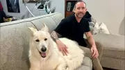 Retired Soldier and Police Officer Credits Service Dog for Saving His Life, Advocates for First Responders