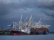 Roberts Bank Pipeline Faces Hurdles: Conservationists Warn of Whale Habitat Threat